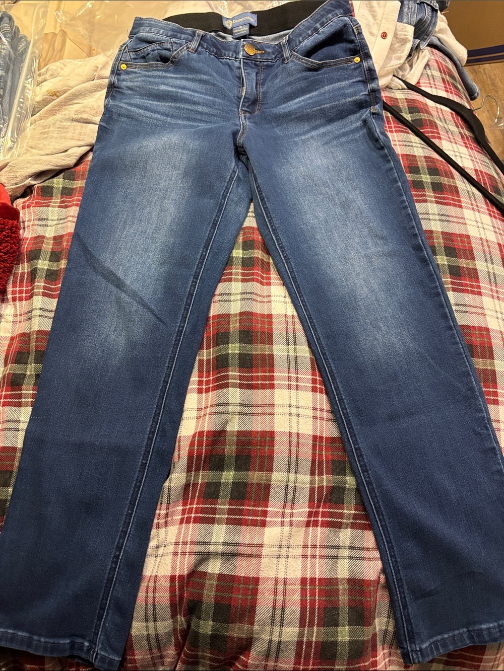 Democracy Absolution  size 8